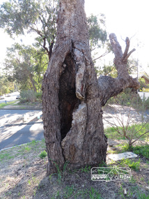 Photograph, Liz Pidgeon, Heritage Excursion; East of Eltham, 6 Sep 2014, 20 May 2017