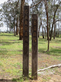 Photograph, Liz Pidgeon, Killeavey, Laughing Waters Road, Eltham 5 Nov 2016, 5 Nov 2016
