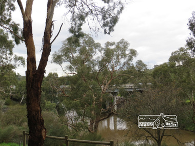 Photograph, Liz Pidgeon, Heritage Excursion; Back-track walk to Fitzsimons Lane, 2 July 2016, 2 July 2016