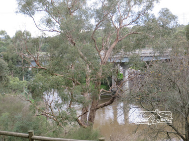 Photograph, Liz Pidgeon, Heritage Excursion; Back-track walk to Fitzsimons Lane, 2 July 2016, 2 July 2016