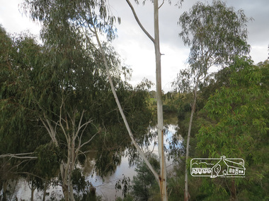 Photograph, Liz Pidgeon, Heritage Excursion; Back-track walk to Fitzsimons Lane, 2 July 2016, 2 July 2016