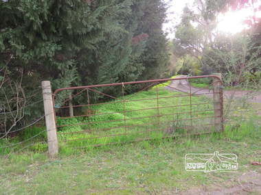 Photograph, Liz Pidgeon, Heritage Excursion; Back-track walk to Fitzsimons Lane, 2 July 2016, 2 July 2016