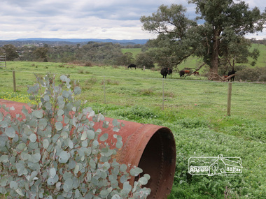 Photograph, Liz Pidgeon, Heritage Excursion; Maroondah Aqueduct, 3 September 2016, 3 September 2016