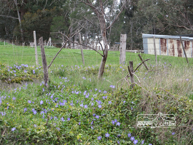 Photograph, Liz Pidgeon, Heritage Excursion; Maroondah Aqueduct, 3 September 2016, 3 September 2016