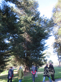 Photograph, Liz Pidgeon, Heritage Excursion; Eltham Lower Park Walk and Talk, 1 July 2017, 1 July 2017