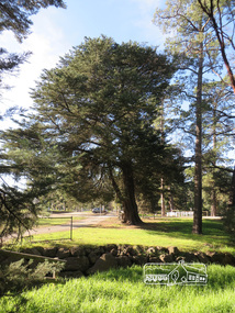 Photograph, Liz Pidgeon, Heritage Excursion; Eltham Lower Park Walk and Talk, 1 July 2017, 1 July 2017