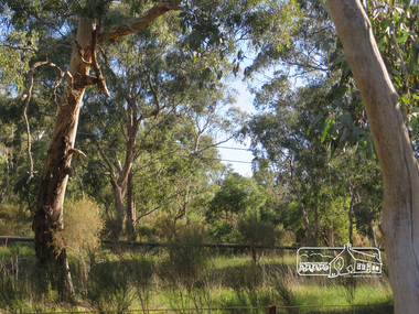 Photograph, Liz Pidgeon, Heritage Excursion; Eltham Lower Park Walk and Talk, 1 July 2017, 1 July 2017