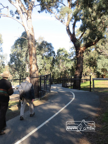 Photograph, Liz Pidgeon, Heritage Excursion; Eltham Lower Park Walk and Talk, 1 July 2017, 1 July 2017