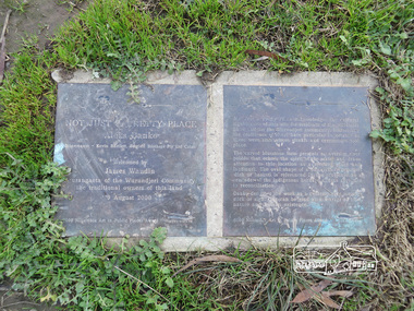 Photograph, Liz Pidgeon, Heritage Excursion; Eltham Lower Park Walk and Talk, 1 July 2017, 1 July 2017