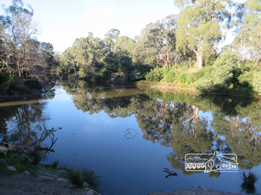 Photograph, Liz Pidgeon, Heritage Excursion; Eltham Lower Park Walk and Talk, 1 July 2017, 1 July 2017