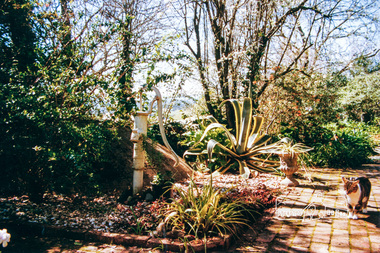 Photograph, Former Caretaker's Cottage, Garden Hill, Kangaroo Ground
