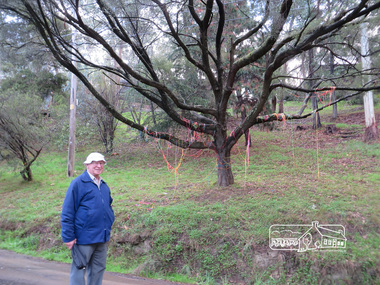 Photograph, Liz Pidgeon, Heritage Excursion; The 1901 Eltham Railway Walk, 3 May 2014, 3 May 2014