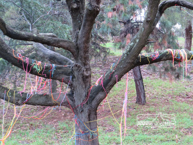 Photograph, Liz Pidgeon, Heritage Excursion; The 1901 Eltham Railway Walk, 3 May 2014, 3 May 2014