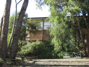 Photograph, Liz Pidgeon, Eltham East Primary School, 27 December 2011
