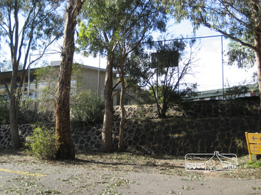 Photograph, Liz Pidgeon, Eltham East Primary School, Grove Street, 27 December 2011, 27 December 2011