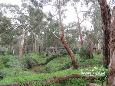 Photograph, Liz Pidgeon, Diamond Creek Trail and Railway Trestle bridge, 21 June 2017