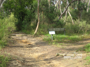 Photograph, Liz Pidgeon, Pauline Toner Butterfly Reserve, Eltham, 18 February 2011, 18 February 2011