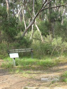 Photograph, Liz Pidgeon, Pauline Toner Butterfly Reserve, Eltham, 18 February 2011, 18 February 2011