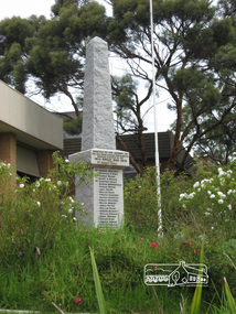 Photograph, Liz Pidgeon, Eltham RSL, Main Road, Eltham,18 February 2011, 18 February 2011