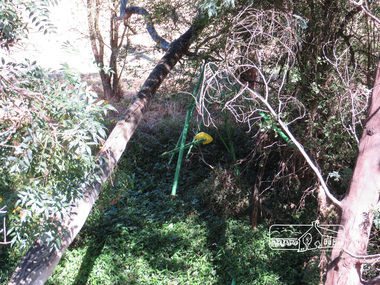 Photograph, Liz Pidgeon, Hassall's Gallery Bazaar, 1215 Main Road, Eltham, 25 March 2014, 25 March 2014