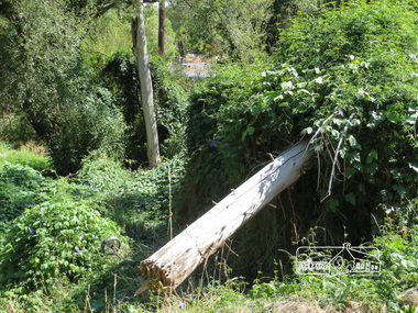 Photograph, Liz Pidgeon, Hassall's Gallery Bazaar, 1215 Main Road, Eltham, 25 March 2014, 25 March 2014
