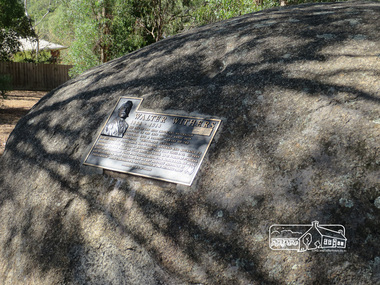 Photograph, Liz Pidgeon, Walter Withers Reserve, 25 March 2014, 25 March 2014