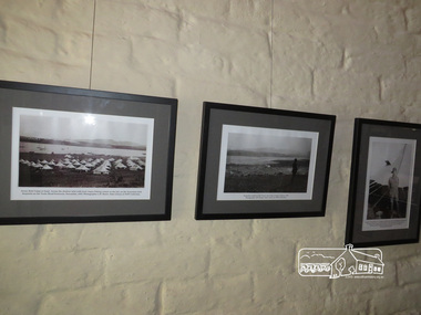 Photograph, Liz Pidgeon, Writing the War exhibition, Eltham Library, 10 August 2016, 10 August 2016