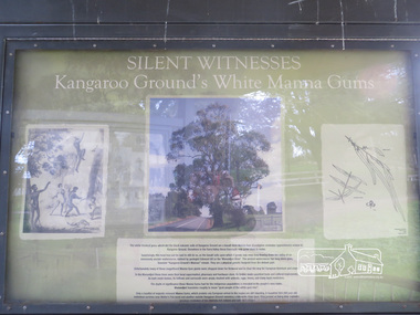Photograph, Liz Pidgeon, Moor-Rul Viewing Platform Panel: Silent Witnesses Kangarooo Ground's White Manna Gums, 10 August 2016