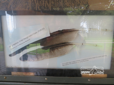 Photograph, Moor-Rul Viewing Platform Panel: Wing tailed feather of the Wedge-tailed Eagle (BUNJIL), 10 August 2016