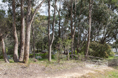 Photograph, Peter Pidgeon, Nyora Road, Eltham, 21 Sep 2017, 21 September 2017