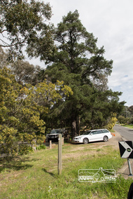 Photograph, Peter Pidgeon, Nyora Road, Eltham, 21 Sep 2017, 21 September 2017