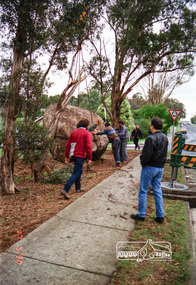 Photograph, Installation of commemorative rock for Walter Withers at corner of Bible and Arthur Streets, Eltham, 17 May 1990, 1990