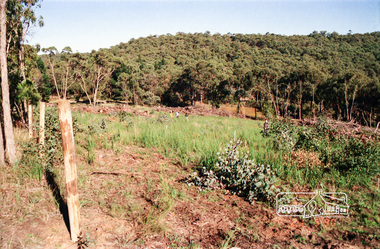 Photograph, Possibly Bassett-Smith property at Kangaroo Ground, c.May 1990, 1990