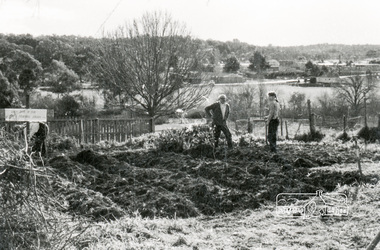 Photograph, Eltham Living and Learning Centre activities