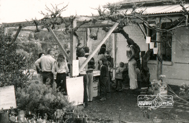 Photograph, Eltham Living and Learning Centre activities