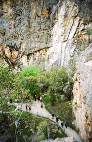 Photograph, Balaclava Open Cut Mine near Whroo Historic Reserve; 9 Oct 1994, 20/11/1994