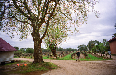 Photograph, Chateau Tahbilk Winery; 9 Oct 1994, 20/11/1994