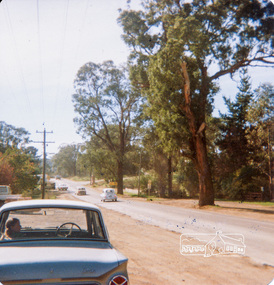 Photograph, Main Road, Eltham looking towards Wattletree Road and Research, August 1980, 1980