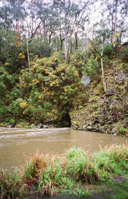 Photograph, Upper Yarra Dam, Spring Tour, 22 Oct 1995, 22/10/1995
