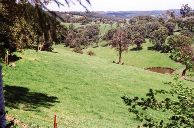 Photograph, Upper Yarra Dam, Spring Tour, 22 Oct 1995, 22/10/1995