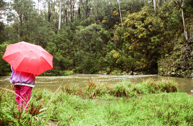 Photograph, Upper Yarra Dam, Spring Tour, 22 Oct 1995, 22/10/1995