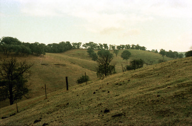 Photograph, Possibly the Bassett-Smith property at Menzies Road, Kangaroo Ground, c.1980, 1980c