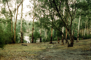 Photograph, Possibly the Bassett-Smith property at Menzies Road, Kangaroo Ground, c.1980, 1980c