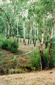 Photograph, Possibly the Bassett-Smith property at Menzies Road, Kangaroo Ground, c.1980, 1980c