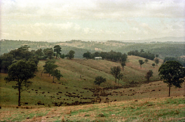 Photograph, Possibly the Bassett-Smith property at Menzies Road, Kangaroo Ground, c.1980, 1980c