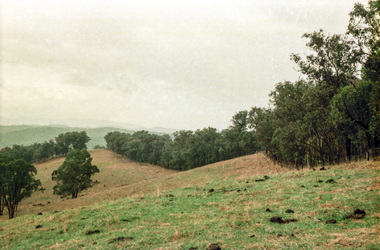 Photograph, Possibly the Bassett-Smith property at Menzies Road, Kangaroo Ground, c.1980, 1980c