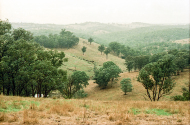 Photograph, Possibly the Bassett-Smith property at Menzies Road, Kangaroo Ground, c.1980, 1980c