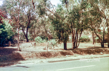 Photograph, Mountain View Road, Briar Hill, c.1976, 1976c