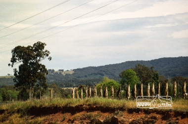 Photograph, Spring Excursion, Hume and Hovell bus tour Stage 2, Seymour, Benalla; 26 Oct 1997, 26/10/1997