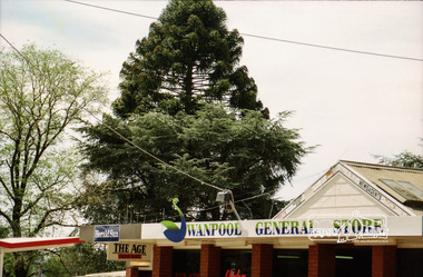 Photograph, Spring Excursion, Hume and Hovell bus tour Stage 2, Seymour, Benalla; 26 Oct 1997, 26/10/1997